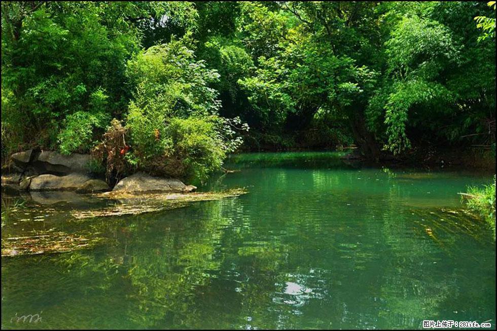 【春天,广西桂林灌阳县向您发出邀请!】如梦似幻莲溪庐 - 游山玩水 - 德州生活社区 - 德州28生活网 dz.28life.com