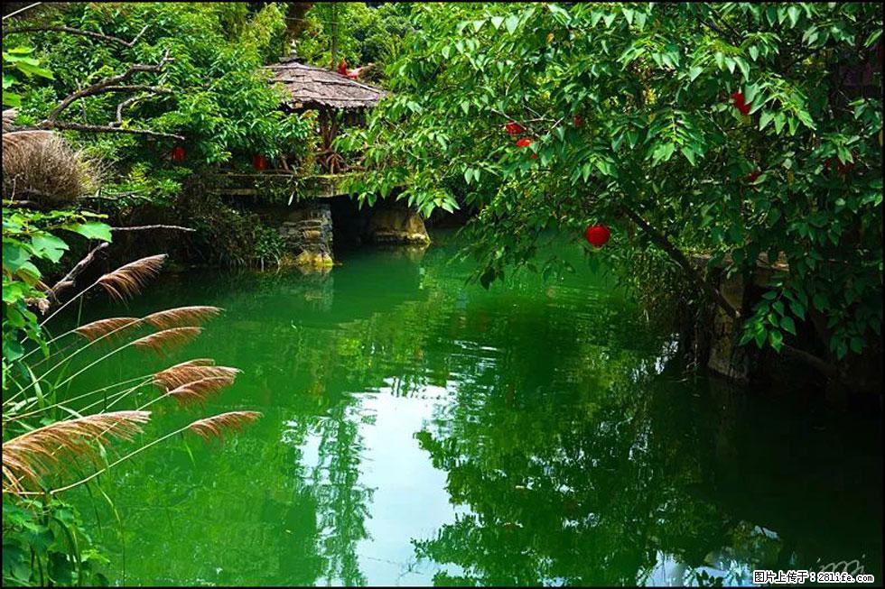 【春天,广西桂林灌阳县向您发出邀请!】如梦似幻莲溪庐 - 游山玩水 - 德州生活社区 - 德州28生活网 dz.28life.com