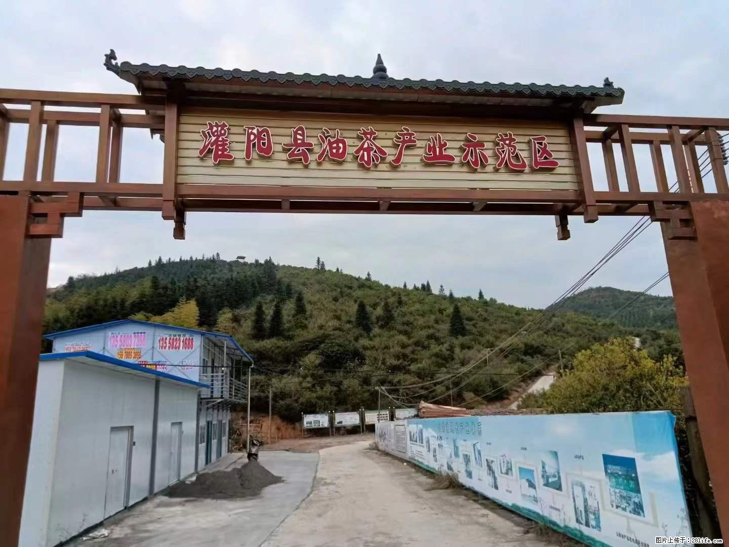 【灌阳县油茶产业示范区】一个有着充实的精神生活的人，对待身外之物自会有一种淡泊的态度 - 土特产 - 饮食特产 - 德州分类信息 - 德州28生活网 dz.28life.com