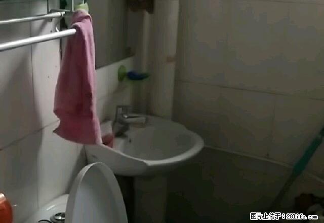 阳光花园,位置你知道,什么优势不用我说,长期优先,长租好商量 - 房屋出租 - 房屋租售 - 德州分类信息 - 德州28生活网 dz.28life.com