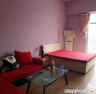 德百物流公寓1室1厅1卫采光好购物方便家具家电齐全拎包入住 - 德州28生活网 dz.28life.com