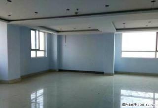 阳光新天地 十楼 银角 看房方便 长租可商量 环境好 - 德州28生活网 dz.28life.com