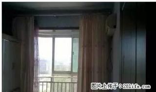 龙元世纪广场 92平精装2居 家具家电齐全 拎包入住 - 德州28生活网 dz.28life.com