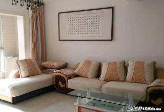 月亮湾，精装修，家具全新，家电齐全，拎包入住，看房方便。 - 德州28生活网 dz.28life.com