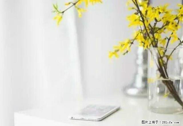 整租 农行宿舍！温馨两居！家具齐全！拎包入住！随时看房！ - 房屋出租 - 房屋租售 - 德州分类信息 - 德州28生活网 dz.28life.com