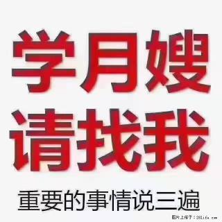 【招聘】月嫂，上海徐汇区 - 德州28生活网 dz.28life.com