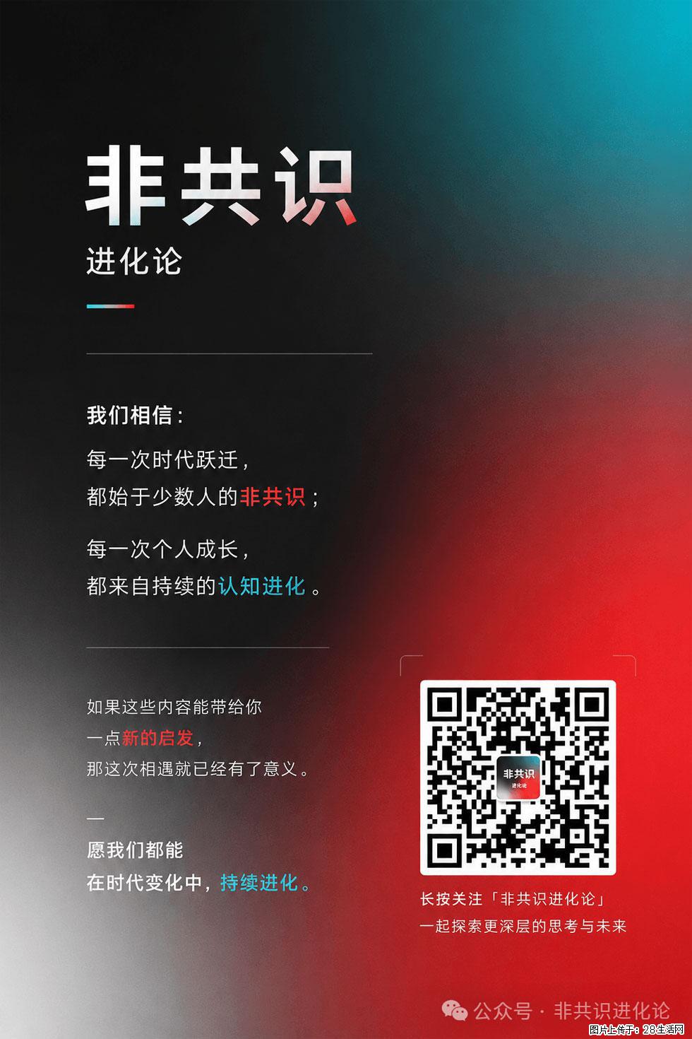 AI不会淘汰程序员，但会改变程序员的成长路径 - 职场交流 - 德州生活社区 - 德州28生活网 dz.28life.com