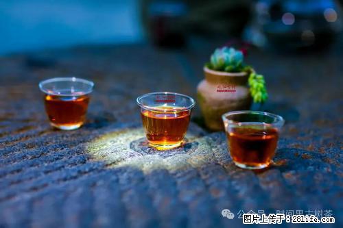 时间果百年古树2025年春红茶 - 购物交流 - 德州生活社区 - 德州28生活网 dz.28life.com