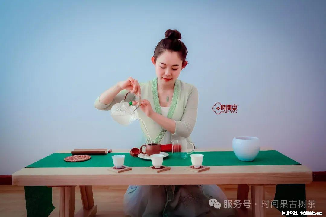 时间果百年古树龙珠普洱生茶 - 购物交流 - 德州生活社区 - 德州28生活网 dz.28life.com