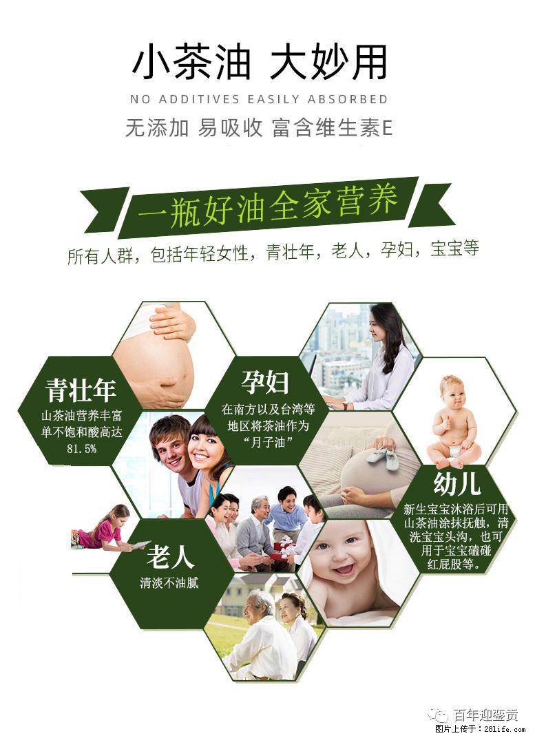 世界没有真相,只有认知,最好的食用油是中国的山茶油! - 德州生活资讯 - 德州28生活网 dz.28life.com