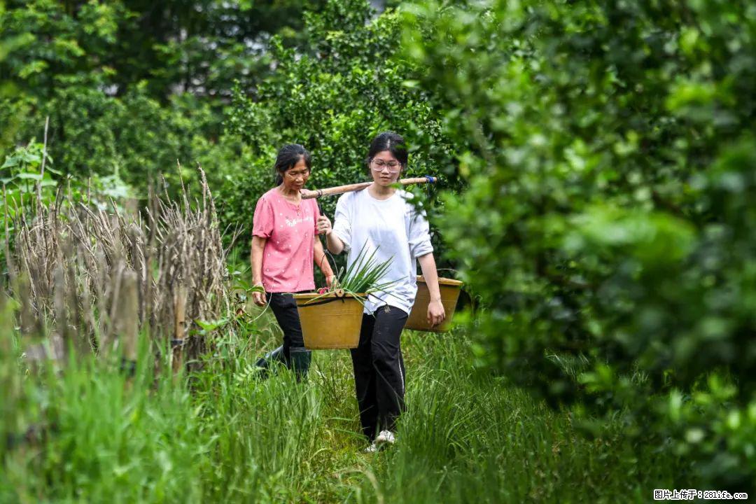 全网追的“扁担女孩”,找了一份暑假工,时薪12元 - 德州生活资讯 - 德州28生活网 dz.28life.com