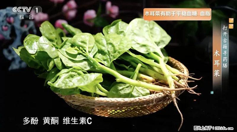 比牛奶补钙还厉害!凉血解毒、稳血糖...这菜冬天必吃,很多人却当草 - 德州生活资讯 - 德州28生活网 dz.28life.com