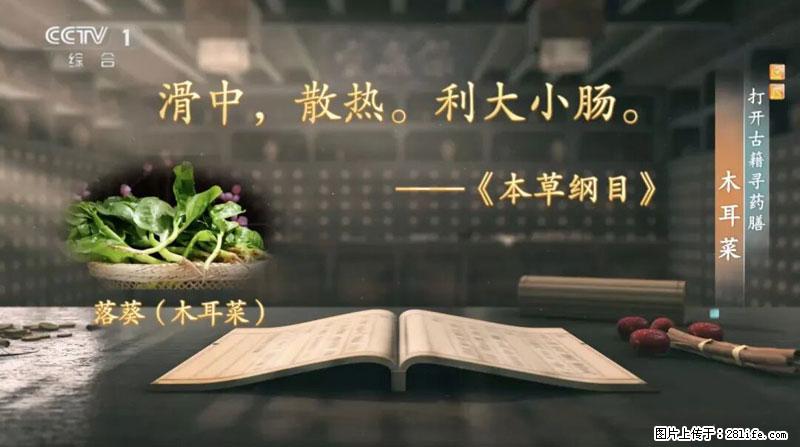 比牛奶补钙还厉害!凉血解毒、稳血糖...这菜冬天必吃,很多人却当草 - 德州生活资讯 - 德州28生活网 dz.28life.com