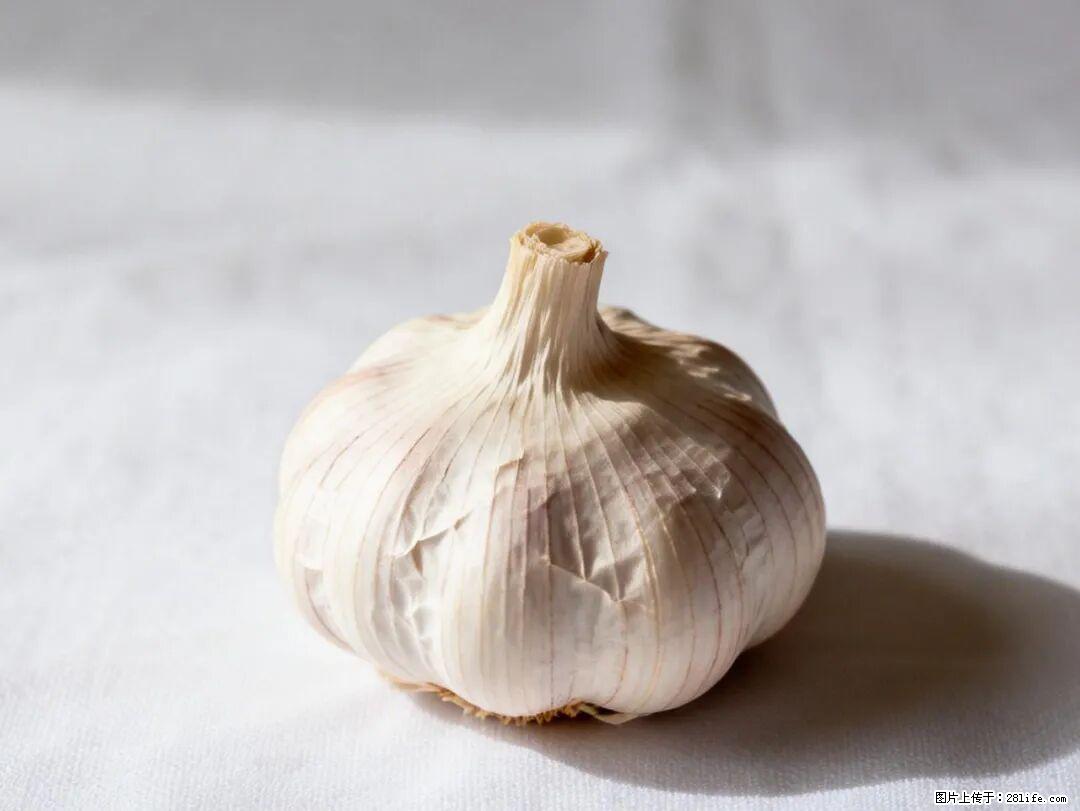 关于大蒜，除了“天然抗生素”，这4个谣言更该警惕! - 德州生活资讯 - 德州28生活网 dz.28life.com