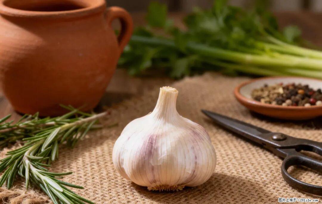 关于大蒜，除了“天然抗生素”，这4个谣言更该警惕! - 德州生活资讯 - 德州28生活网 dz.28life.com