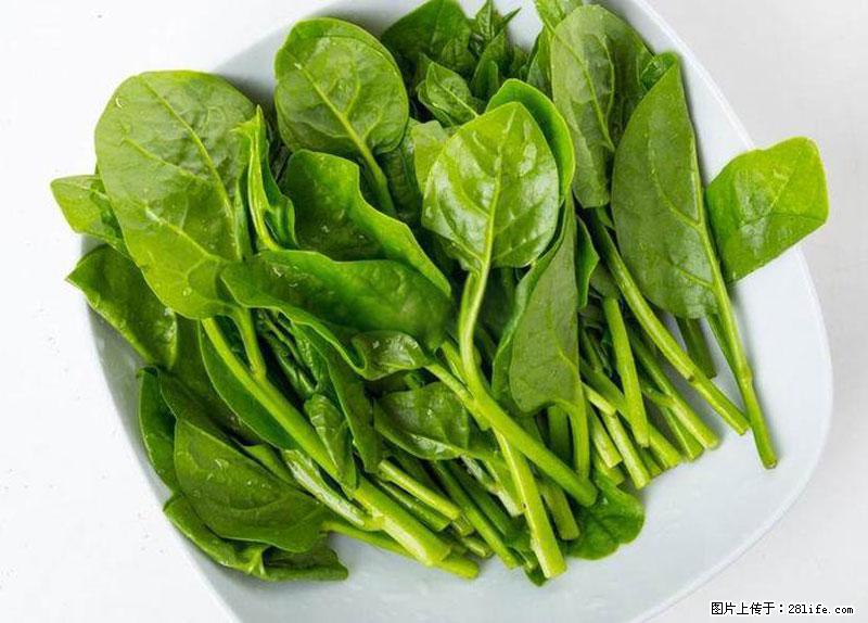 这些蔬菜是“天然钙片”，这6种被医生重点推荐 - 德州生活资讯 - 德州28生活网 dz.28life.com