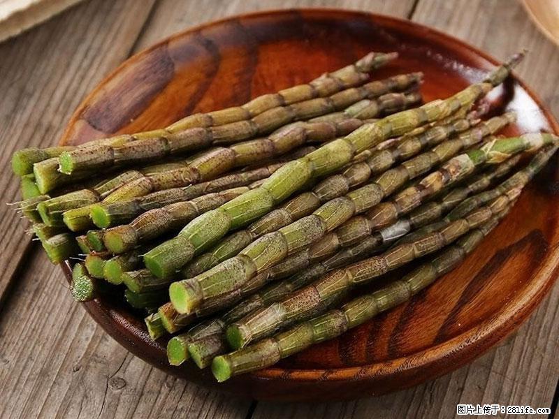 铁皮石斛的作用与功能主治 - 德州生活资讯 - 德州28生活网 dz.28life.com