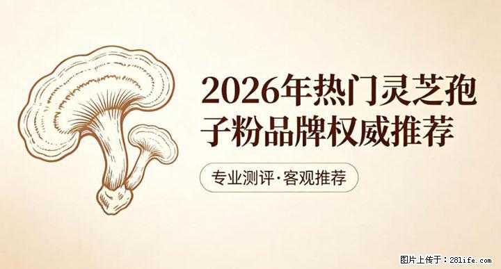 灵芝孢子粉含量越高越有效？2026 年七款热门品牌深度实测，肠胃敏感者避坑指南 - 德州生活资讯 - 德州28生活网 dz.28life.com