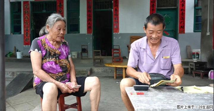 【乡村振兴】广西桂林市灌阳县文市蜂糖李、黄金奈李迎丰产上市季 甜蜜产业助振兴 - 德州生活资讯 - 德州28生活网 dz.28life.com