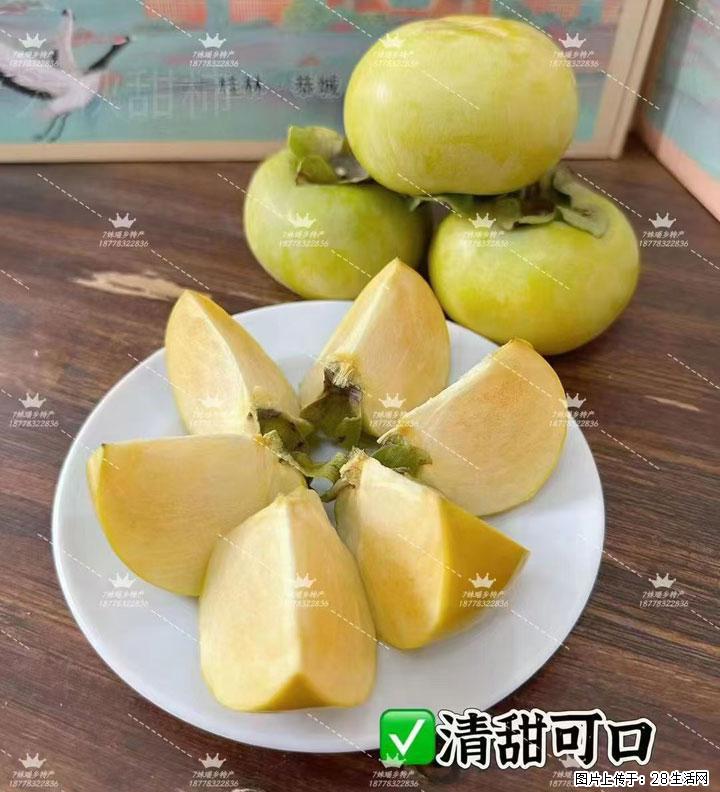广西桂林平乐桥亭【红心猕猴桃】、【大秋甜柿】上市啦，欢迎各位新老客户下单（另有少量小果出售） - 德州生活资讯 - 德州28生活网 dz.28life.com